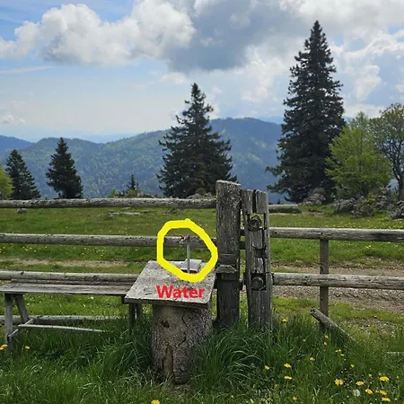 Koca Na Pirco'v - Gojska Planina Stahovica